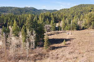 View of mountain backdrop featuring a forest