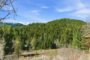 View of mountain background with a heavily wooded area