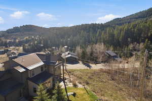 Bird's eye view of a forest and a mountain backdrop
