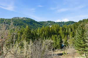 View of mountain backdrop with a forest