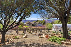 View of yard featuring a mountain view