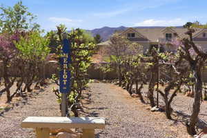 View of yard with a mountain view