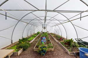 View of yard with a vegetable garden