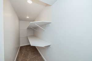 Walk in closet featuring dark colored carpet