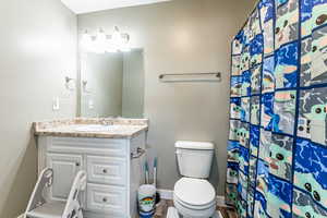 Full bathroom featuring vanity, a shower with shower curtain, and wood finished floors