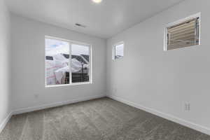 Empty room featuring carpet flooring and healthy amount of natural light