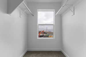 Walk in closet featuring carpet