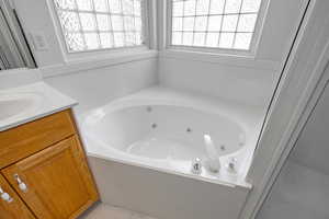 Full bathroom with vanity and a whirlpool tub