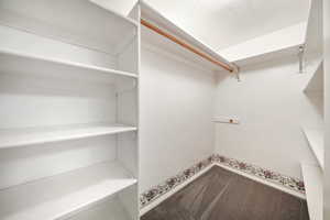 Walk in closet featuring carpet floors