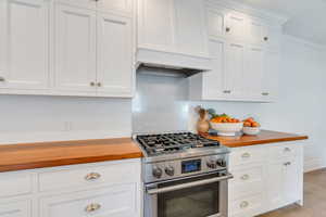 Stainless steel gas range