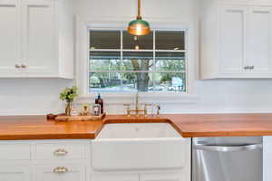 Farm sink with backyard view