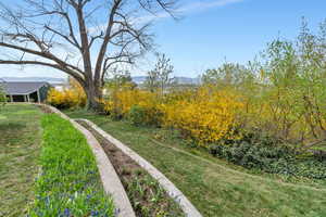 View of green lawn with a mountain view