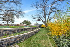 View of grassy yard with an outbuilding