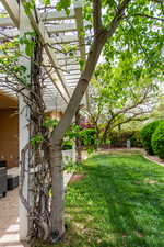 Private patio off living room with natural shade and greenery, HOA maintained yard