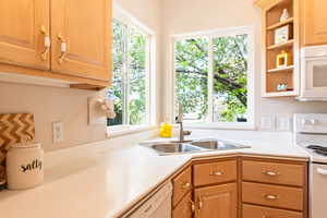 Bright kitchen sink area with window and garden views