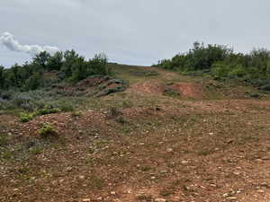 View of undeveloped land