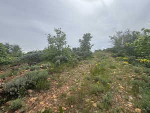 View of undeveloped land