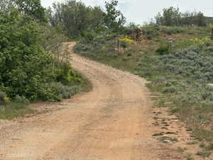 View of road featuring a view of rural / pastoral area