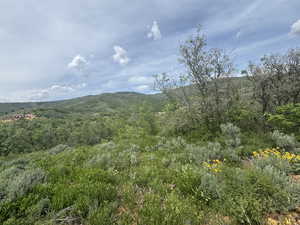 Mountain view featuring a forest