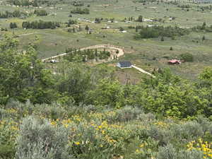Overview of rural landscape
