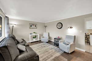 Living area with dark wood-style floors and ornamental molding