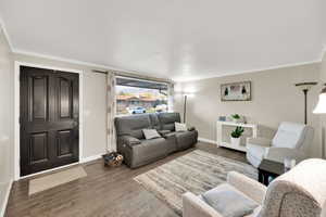 Living area featuring wood finished floors and ornamental molding
