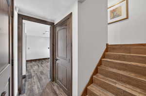 Staircase with wood finished floors and baseboards