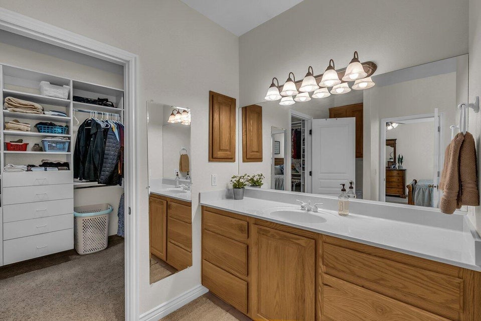 Bathroom featuring vanity, a spacious closet, and light colored carpet