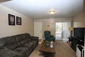 Living area with carpet floors