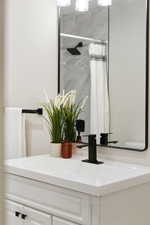 Bathroom view of vanity and a shower with curtain