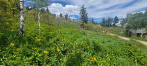 Side lot view - would be looking at the side of a cabin/home. Bottom road shown.
