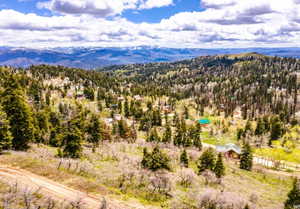 The view from Top of lot - what you would see out of a window.