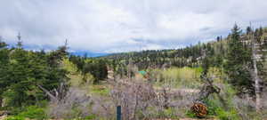 View of tree filled area