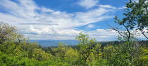View of mountain from lot