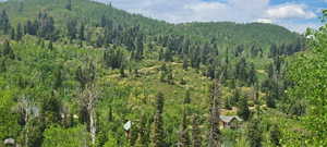 Bird's eye view from across the way looking at the lot.  Lot is mostly in the clearing - center photo,