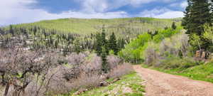 Top road access