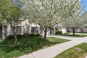 View of property hidden behind natural elements featuring driveway and a front yard
