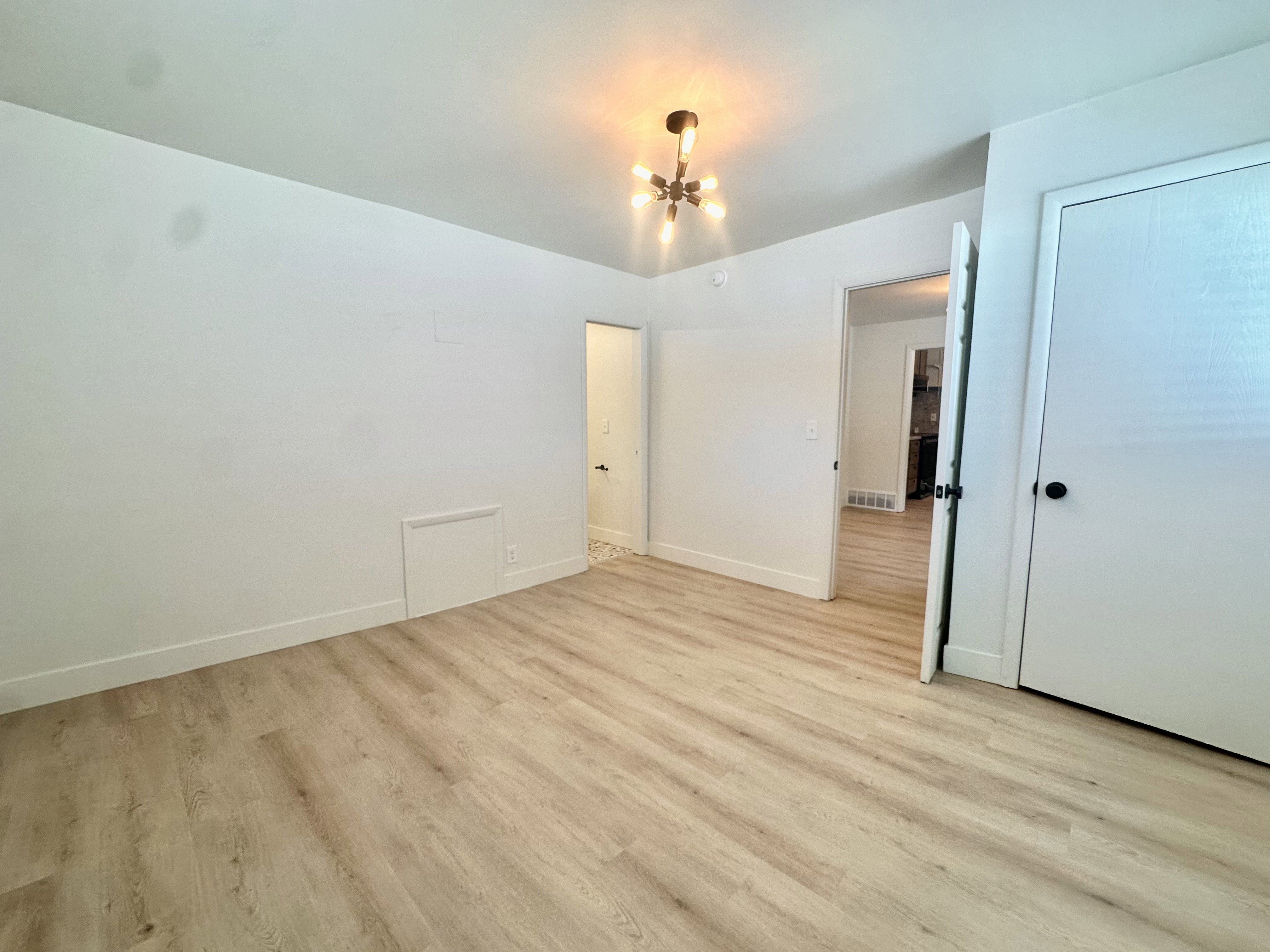 Spacious room featuring wood-finish flooring, crisp white walls, and a contemporary ceiling fixture