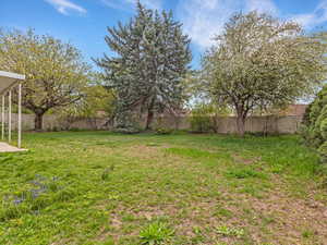 Back yard with garden area behind the fence