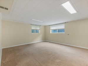 Lower Level Family Room
