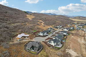 Aerial perspective of suburban area featuring a mountainous background