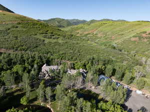 Aerial view of mountains and a forest