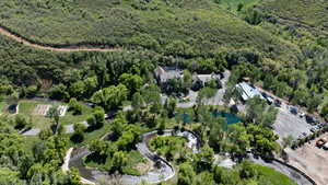 Bird's eye view of a forest