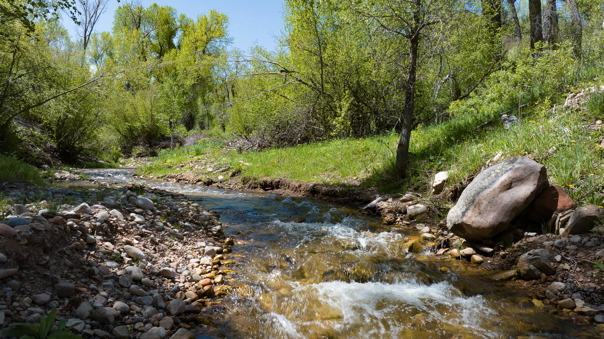 View of local wilderness featuring a large body of water