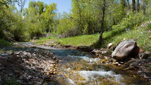 View of local wilderness featuring a large body of water