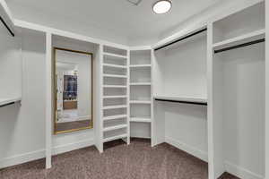 Walk in closet featuring dark colored carpet