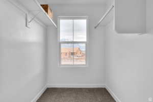 Walk in closet featuring carpet