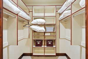 Walk in closet featuring carpet floors