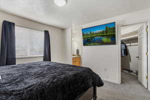 Primary suite with attached walk-in closet and en-suite bathroom