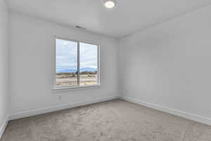 Spare room featuring a mountain view and light colored carpet